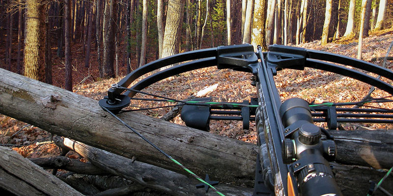 Crossbow Hunting in a forest