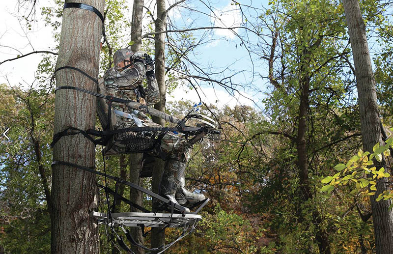 Hang on tree stand hunter in tree