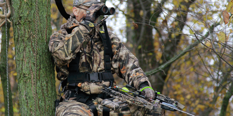 Tree Stand Safety Harness